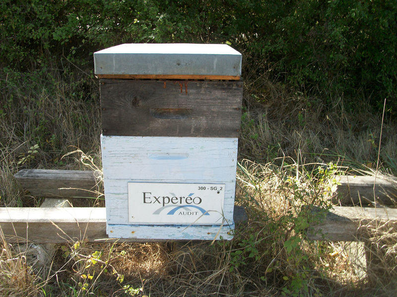 La ruche Expèréo audit